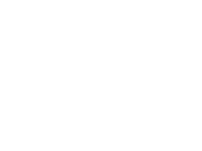 Metsä Group